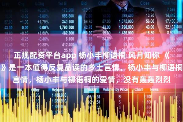 正规配资平台app 杨小丰柳语桐 风月知你 《风月知你》《风月知你》是一本值得反复品读的乡土言情,杨小丰与柳语桐的爱情,没有轰轰烈烈